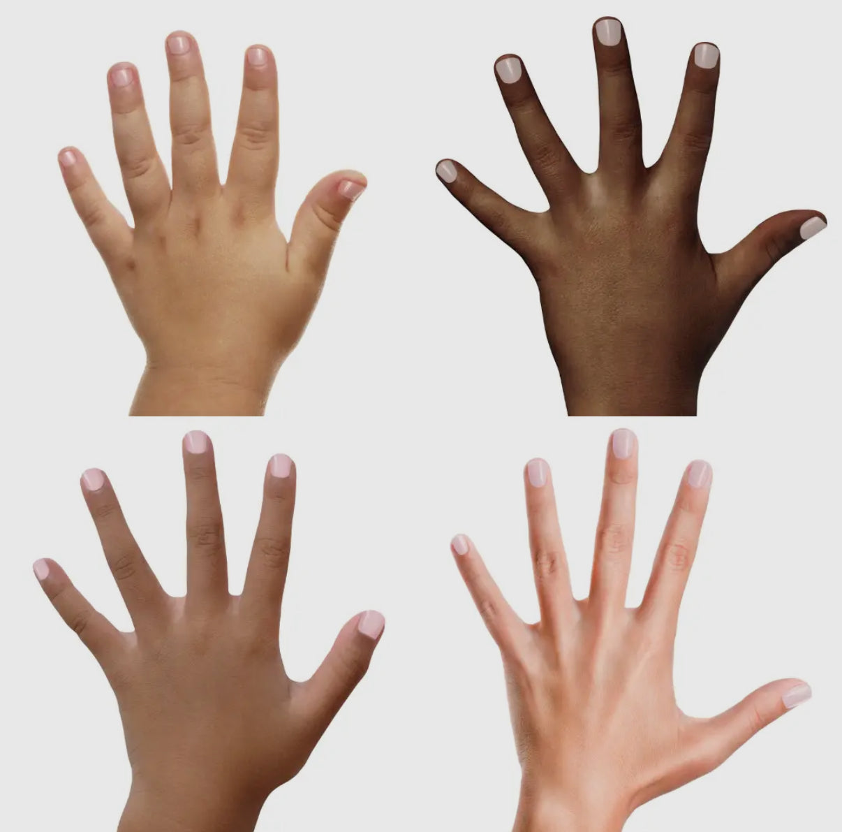 PIGGY PAINT
Basecoat + Sealer - Clear